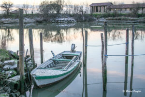 laguna-aquileia